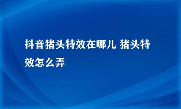抖音猪头特效在哪儿 猪头特效怎么弄