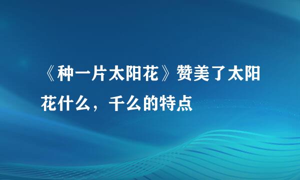 《种一片太阳花》赞美了太阳花什么，千么的特点