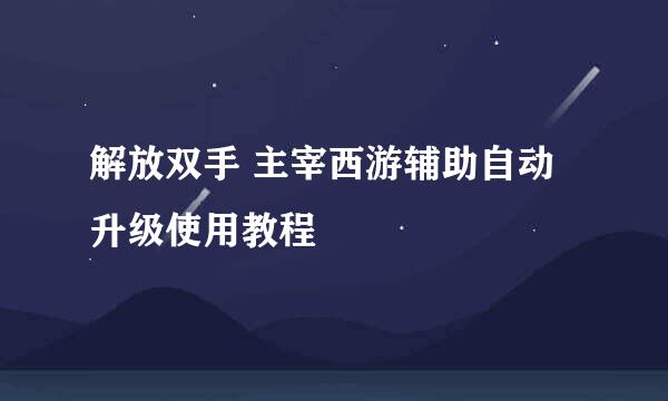 解放双手 主宰西游辅助自动升级使用教程