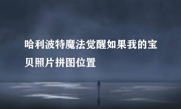 哈利波特魔法觉醒如果我的宝贝照片拼图位置