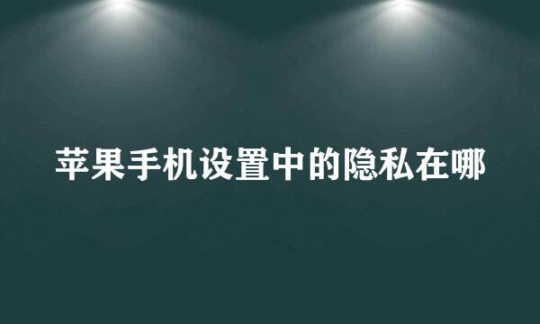 苹果手机设置中的隐私在哪