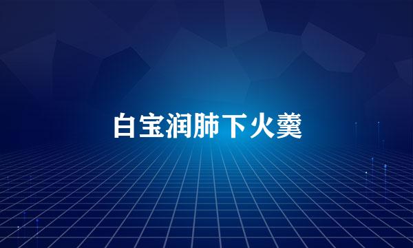 白宝润肺下火羹