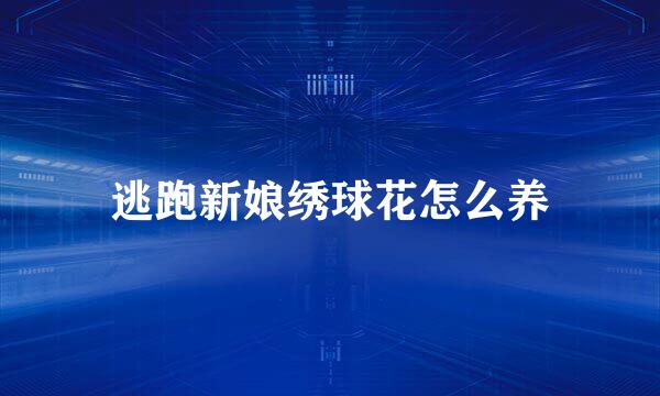 逃跑新娘绣球花怎么养
