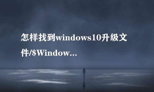 怎样找到windows10升级文件/$Windows.~BT