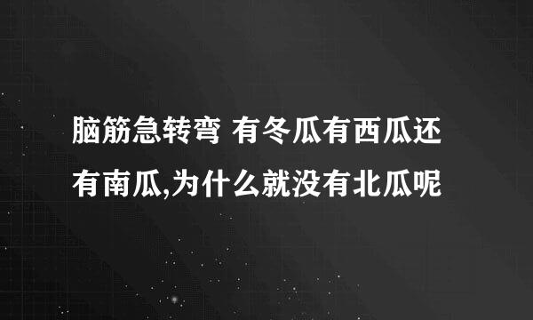 脑筋急转弯 有冬瓜有西瓜还有南瓜,为什么就没有北瓜呢