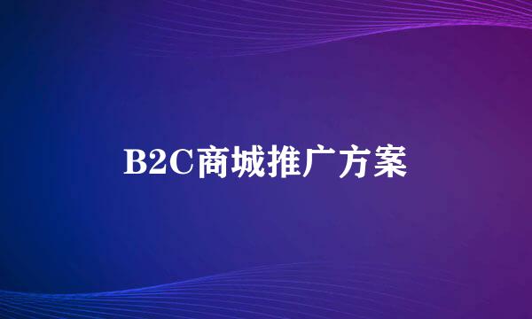 B2C商城推广方案