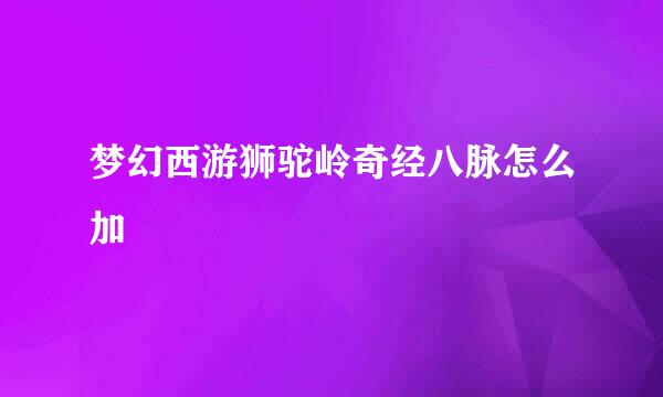 梦幻西游狮驼岭奇经八脉怎么加