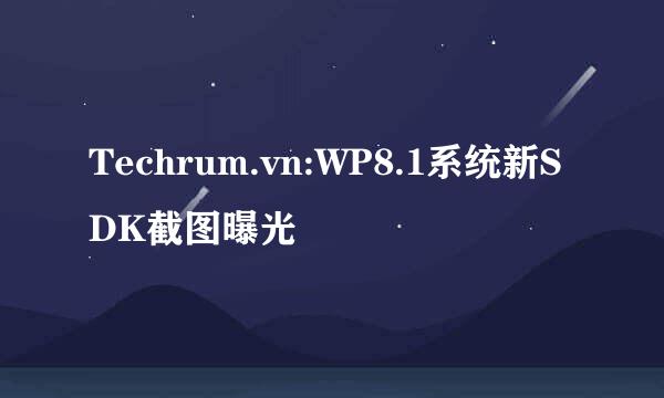 Techrum.vn:WP8.1系统新SDK截图曝光