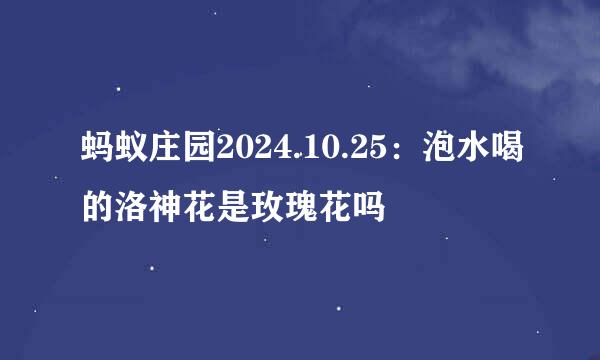 蚂蚁庄园2024.10.25：泡水喝的洛神花是玫瑰花吗