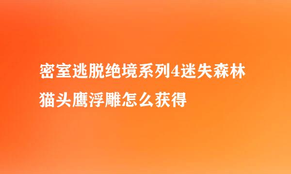 密室逃脱绝境系列4迷失森林猫头鹰浮雕怎么获得