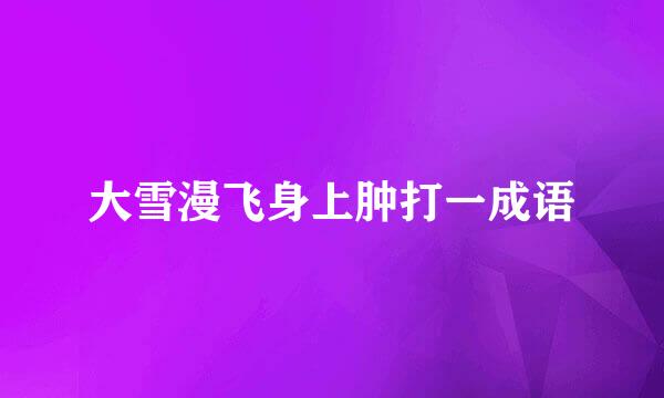 大雪漫飞身上肿打一成语