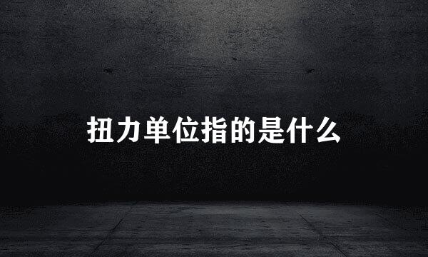 扭力单位指的是什么
