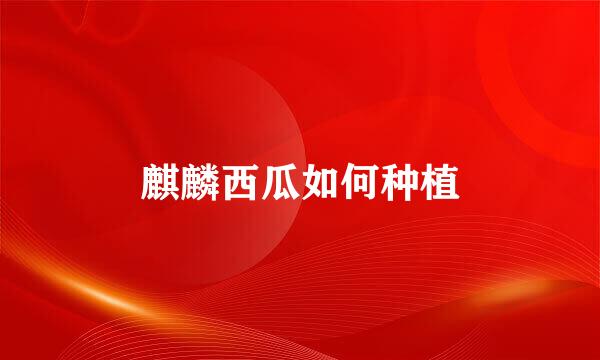 麒麟西瓜如何种植