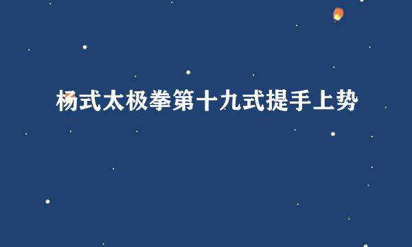 杨式太极拳第十九式提手上势