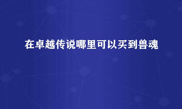 在卓越传说哪里可以买到兽魂
