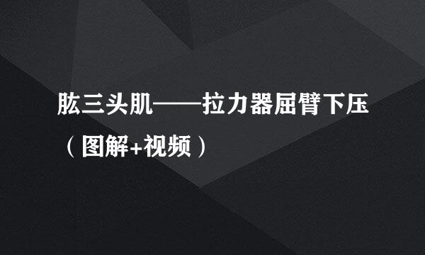 肱三头肌——拉力器屈臂下压（图解+视频）
