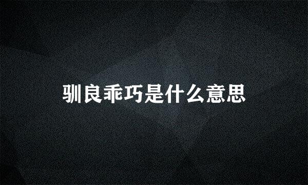驯良乖巧是什么意思