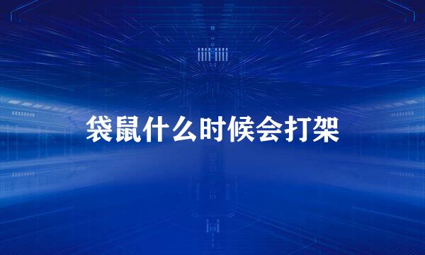 袋鼠什么时候会打架