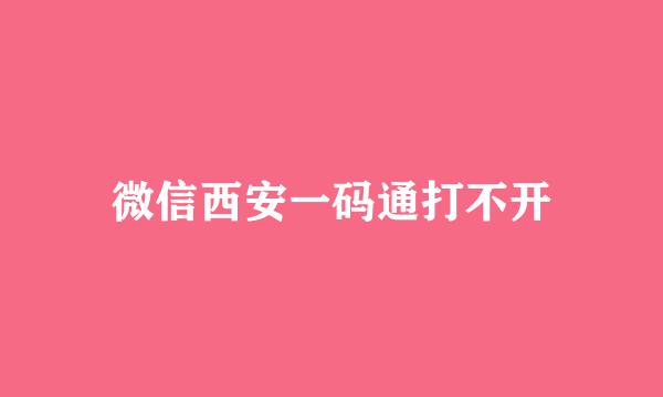 微信西安一码通打不开