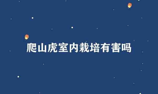 爬山虎室内栽培有害吗