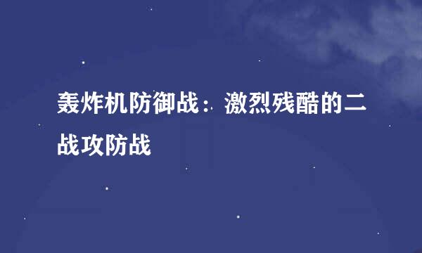 轰炸机防御战：激烈残酷的二战攻防战