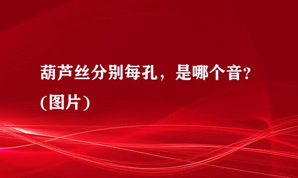 葫芦丝分别每孔，是哪个音？(图片)