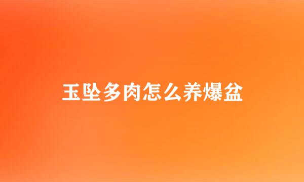 玉坠多肉怎么养爆盆