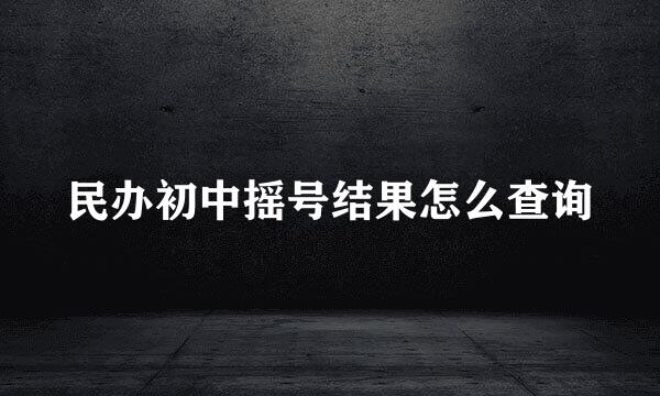 民办初中摇号结果怎么查询