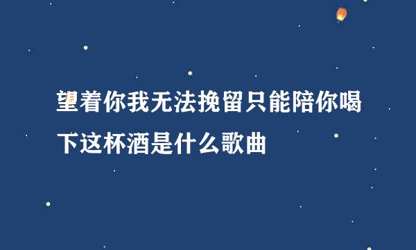 望着你我无法挽留只能陪你喝下这杯酒是什么歌曲