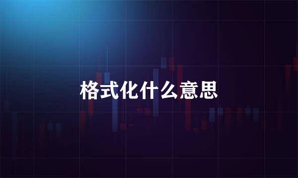格式化什么意思