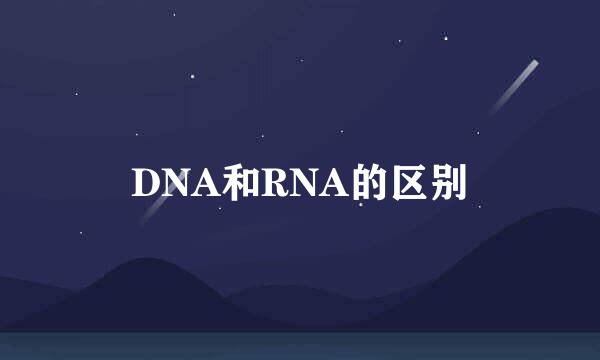 DNA和RNA的区别