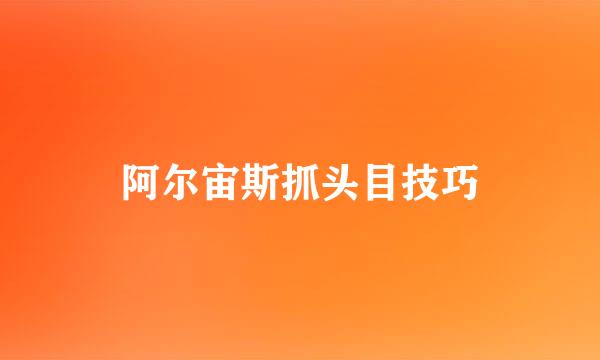 阿尔宙斯抓头目技巧