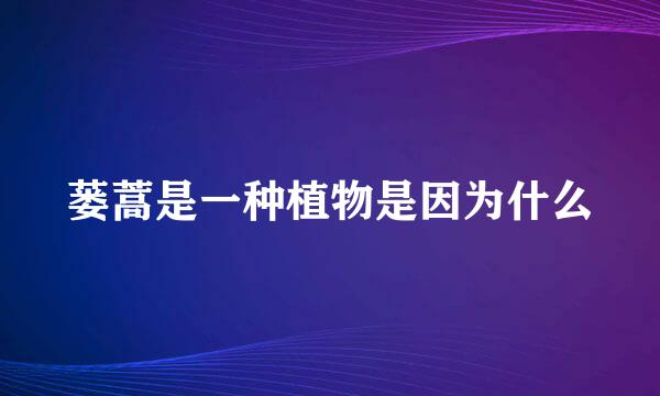 蒌蒿是一种植物是因为什么