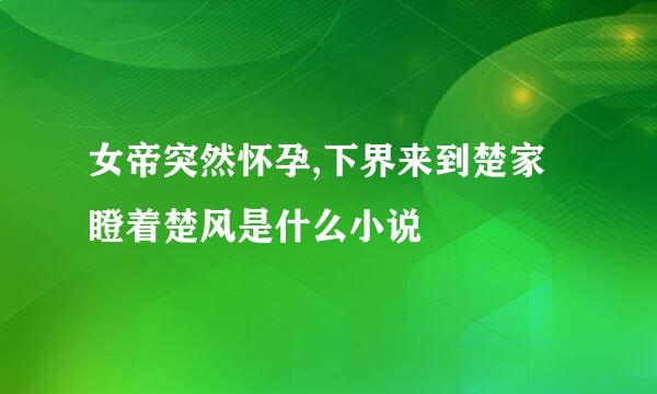 女帝突然怀孕,下界来到楚家瞪着楚风是什么小说