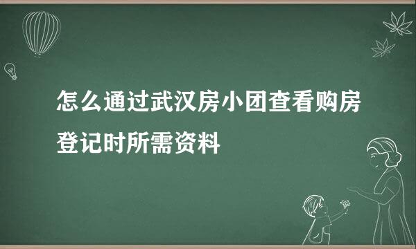 怎么通过武汉房小团查看购房登记时所需资料