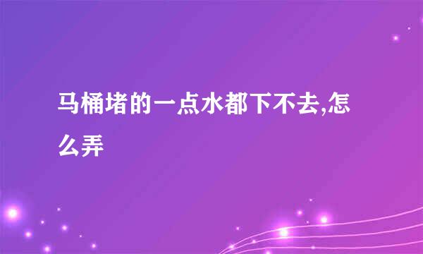 马桶堵的一点水都下不去,怎么弄