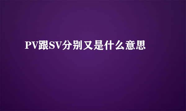 PV跟SV分别又是什么意思