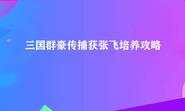 三国群豪传捕获张飞培养攻略