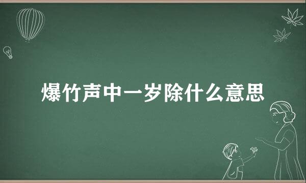 爆竹声中一岁除什么意思