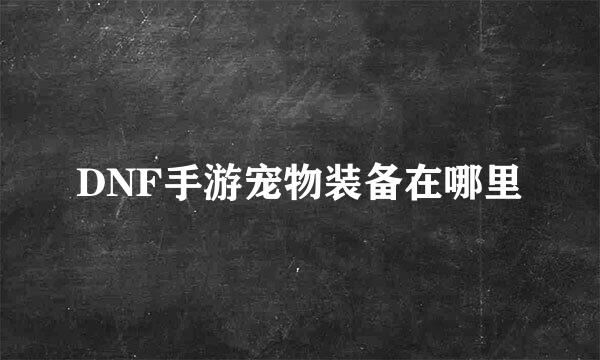 DNF手游宠物装备在哪里