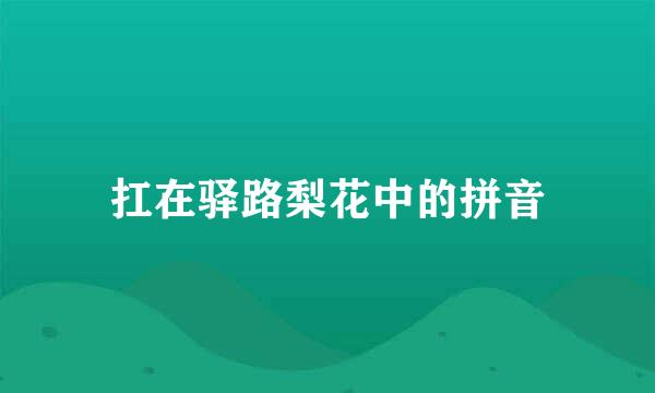 扛在驿路梨花中的拼音