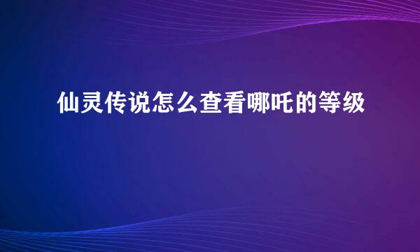仙灵传说怎么查看哪吒的等级