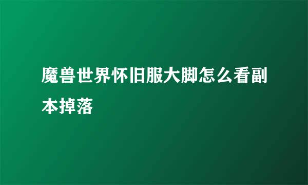 魔兽世界怀旧服大脚怎么看副本掉落