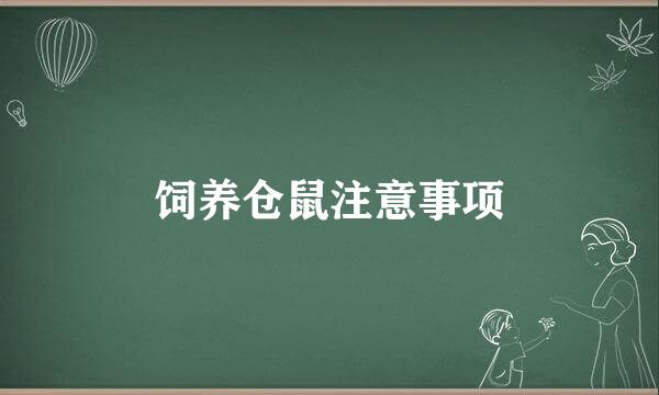 饲养仓鼠注意事项