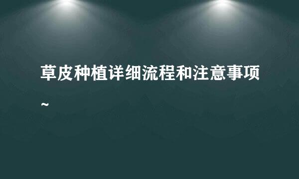 草皮种植详细流程和注意事项~