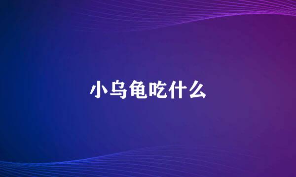 小乌龟吃什么