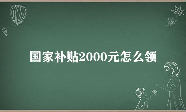 国家补贴2000元怎么领