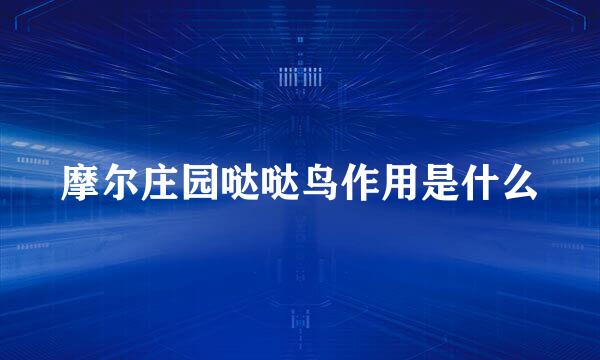 摩尔庄园哒哒鸟作用是什么