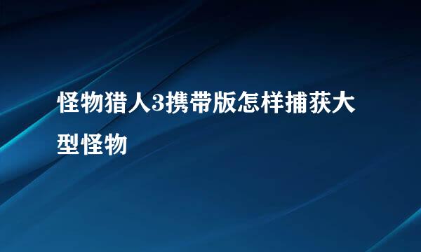 怪物猎人3携带版怎样捕获大型怪物