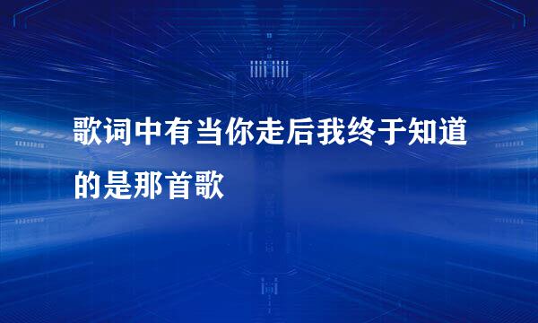 歌词中有当你走后我终于知道的是那首歌